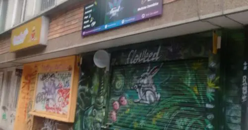 FLOWEED HEAD SHOP FLOWEED HEAD SHOP
